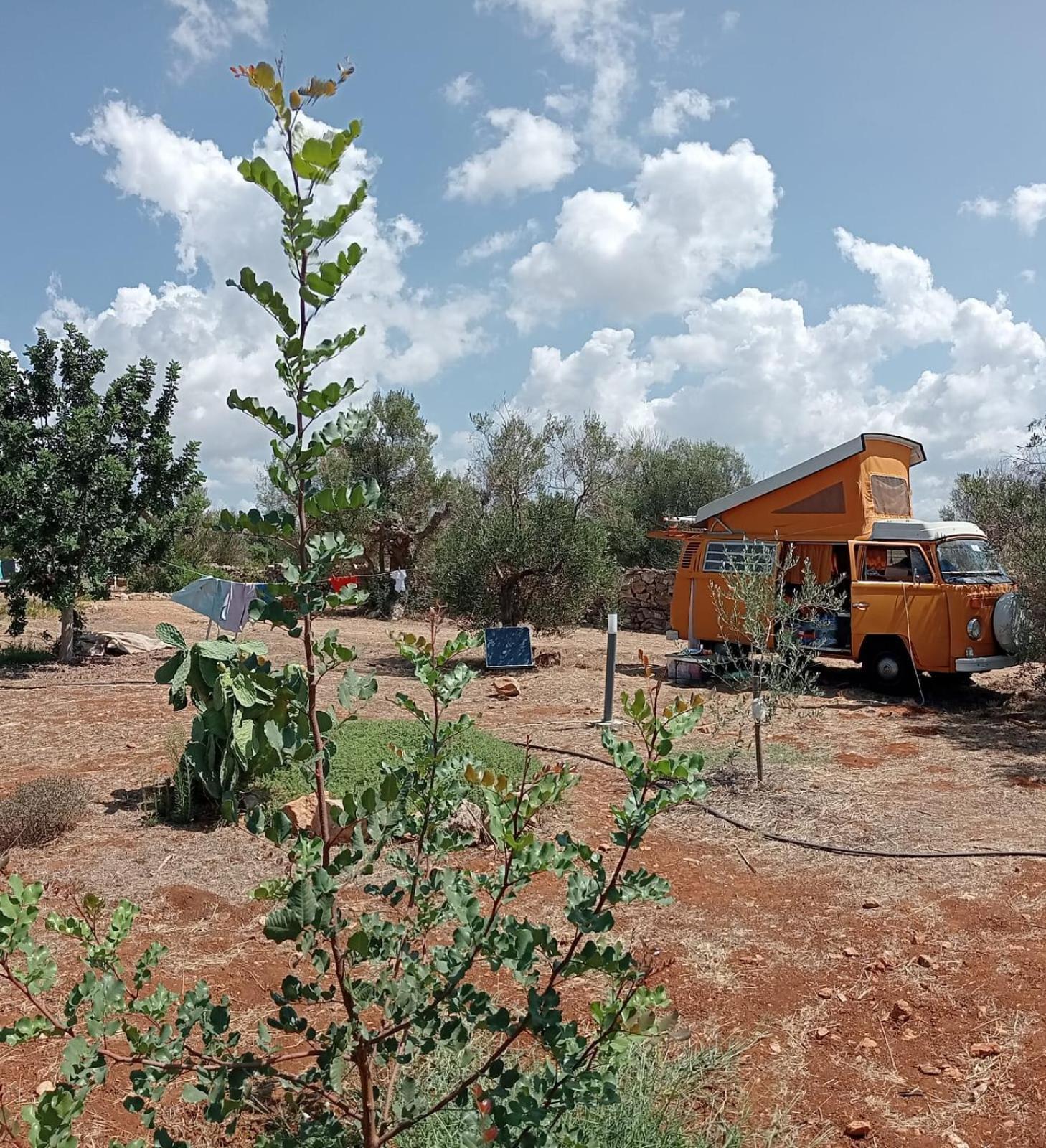 Macaria Agricampeggio Alliste Exteriér fotografie